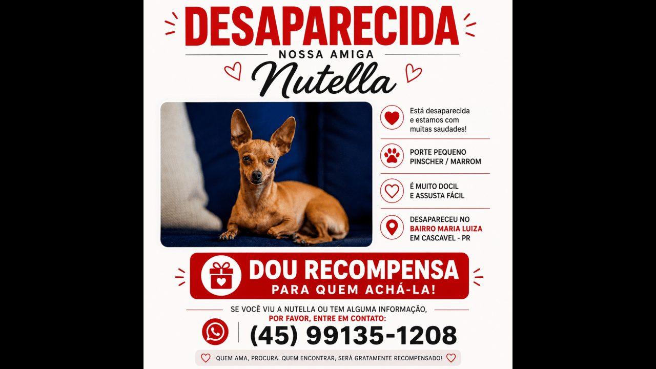 Cachorra Nutella desapareceu no bairro Maria Luiza