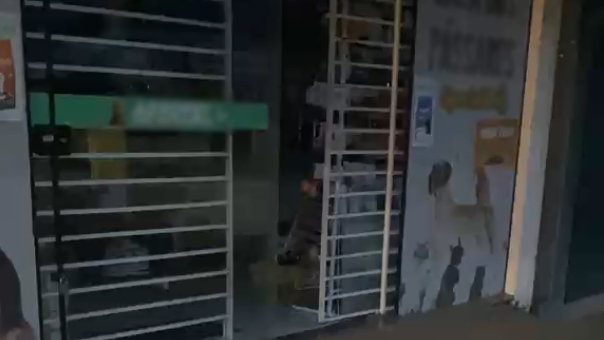 Loja é arrombada e criminosos furtam notebook, dinheiro e produtos pet em Cascavel