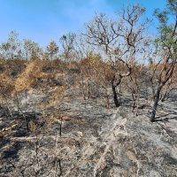 Mudanças climáticas já afetam 85% dos brasileiros, diz pesquisa Imagem referente a Mudanças climáticas já afetam 85% dos brasileiros, diz pesquisa