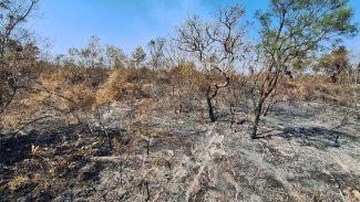 Mudanças climáticas já afetam 85% dos brasileiros, diz pesquisa
