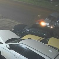 Imagem referente a Conhece? Autoridades procuram motorista que bateu contra vários carros na Estrada Rio da Paz