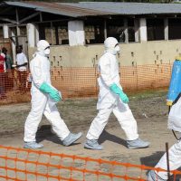 Imagem referente a Cruz Vermelha lamenta mortes de voluntários no Congo devido ao Ebola