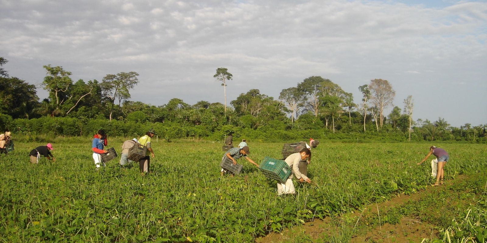 Imagem referente a Prêmio para produção acadêmica destaca agricultura familiar