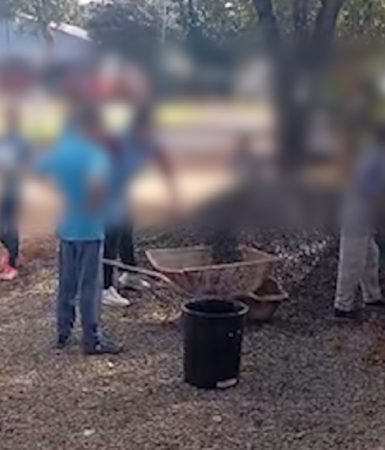Imagem referente a Alunos da rede municipal são filmados carregando pedra brita para dentro de escola