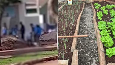Imagem referente a Prefeitura explica que crianças carregaram pedras em atividade pedagógica ‘horta escolar’