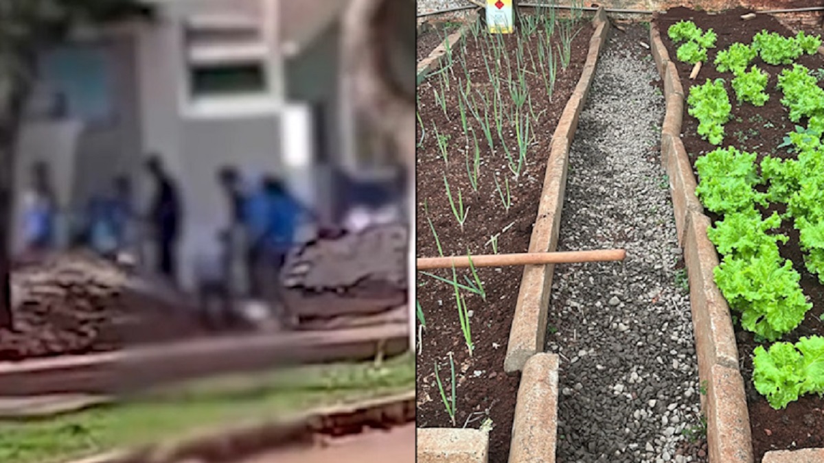 Prefeitura explica que crianças carregaram pedras em atividade pedagógica ‘horta escolar’