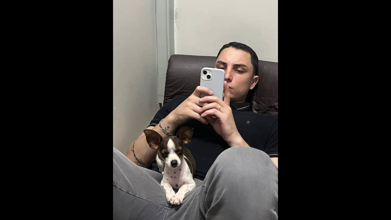 Cachorra Lola desapareceu no bairro Cascavel Velho Cachorra Lola desapareceu no bairro Cascavel Velho