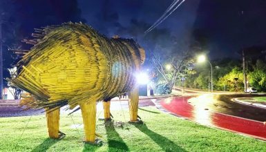 Imagem referente a Guarda-chuvas, agasalhos e capivaras compõem cenário da madrugada em Cascavel