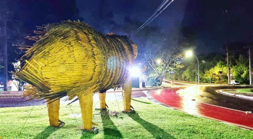 Guarda-chuvas, agasalhos e capivaras compõem cenário da madrugada em Cascavel