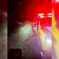 Imagem referente a Mulher fica ferida após carro bater em árvore e capotar na PR-557