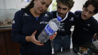 Mais de 93% dos peixes vendidos no litoral do Paraná têm microplástico
