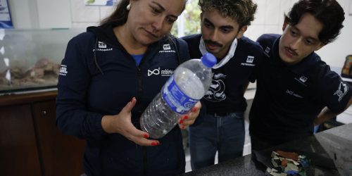 Mais de 93% dos peixes vendidos no litoral do Paraná têm microplástico Imagem referente a Mais de 93% dos peixes vendidos no litoral do Paraná têm microplástico