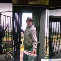 Imagem referente a Homem suspeito de furtos em Cascavel é o mesmo acusado do homicídio de Sônia Toguti