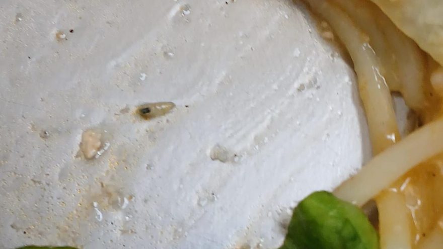 Merenda com larvas? Entenda caso no Colégio Eleodoro