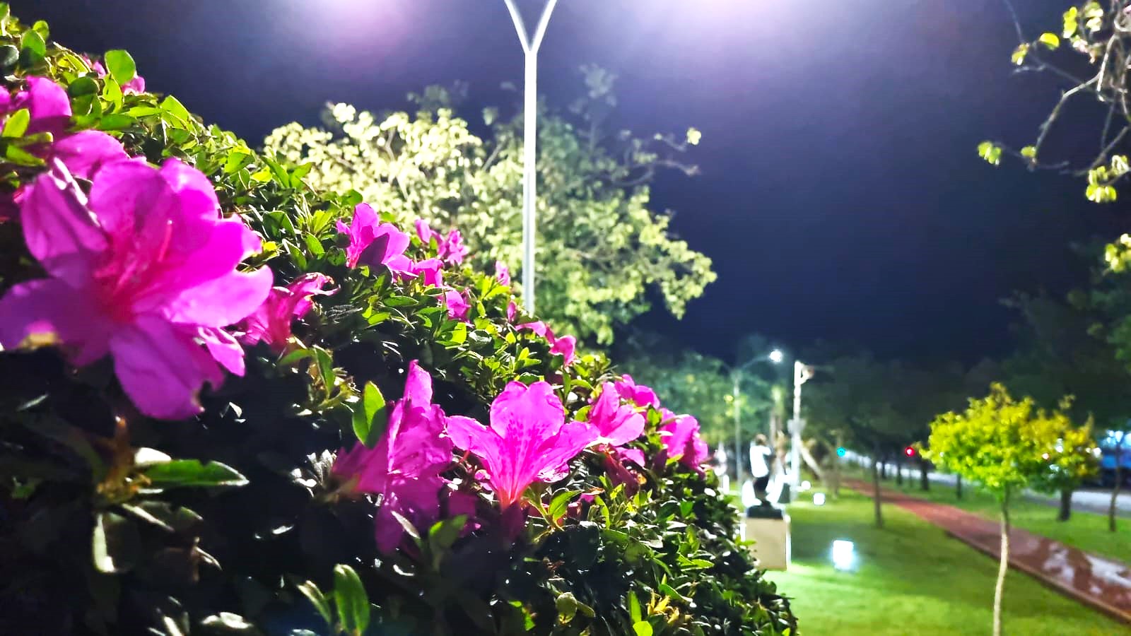 Sem neblina e sem garoa: sexta-feira começa com frio moderado e movimento reduzido