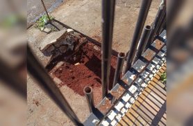 Família do Floresta pede solução da Sanepar para acesso ao relógio de água