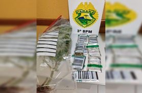 PM apreende drogas, dinheiro e planta de Cannabis na zona rural de São João