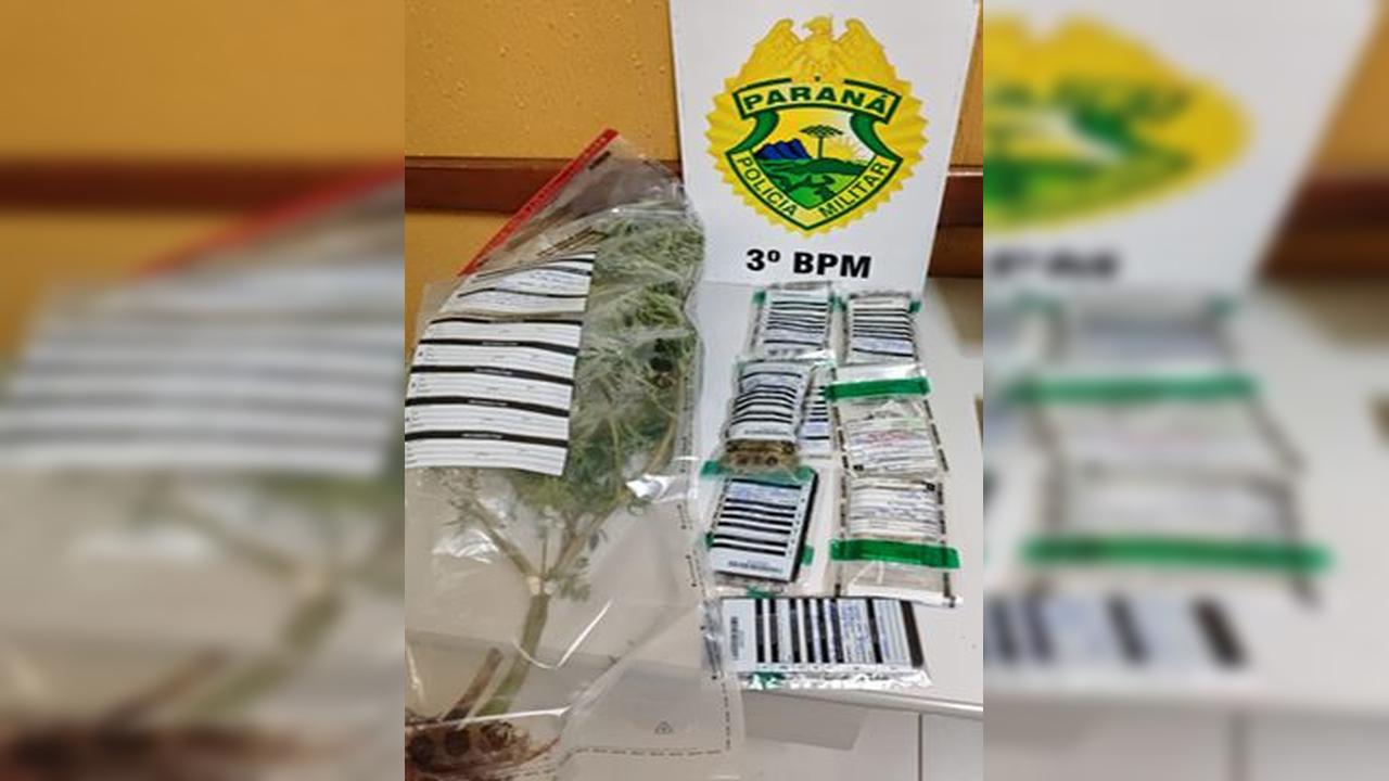 Imagem referente a PM apreende drogas, dinheiro e planta de Cannabis na zona rural de São João