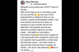 Cachorra é encontrada no bairro Florais do Paraná Cachorra é encontrada no bairro Florais do Paraná