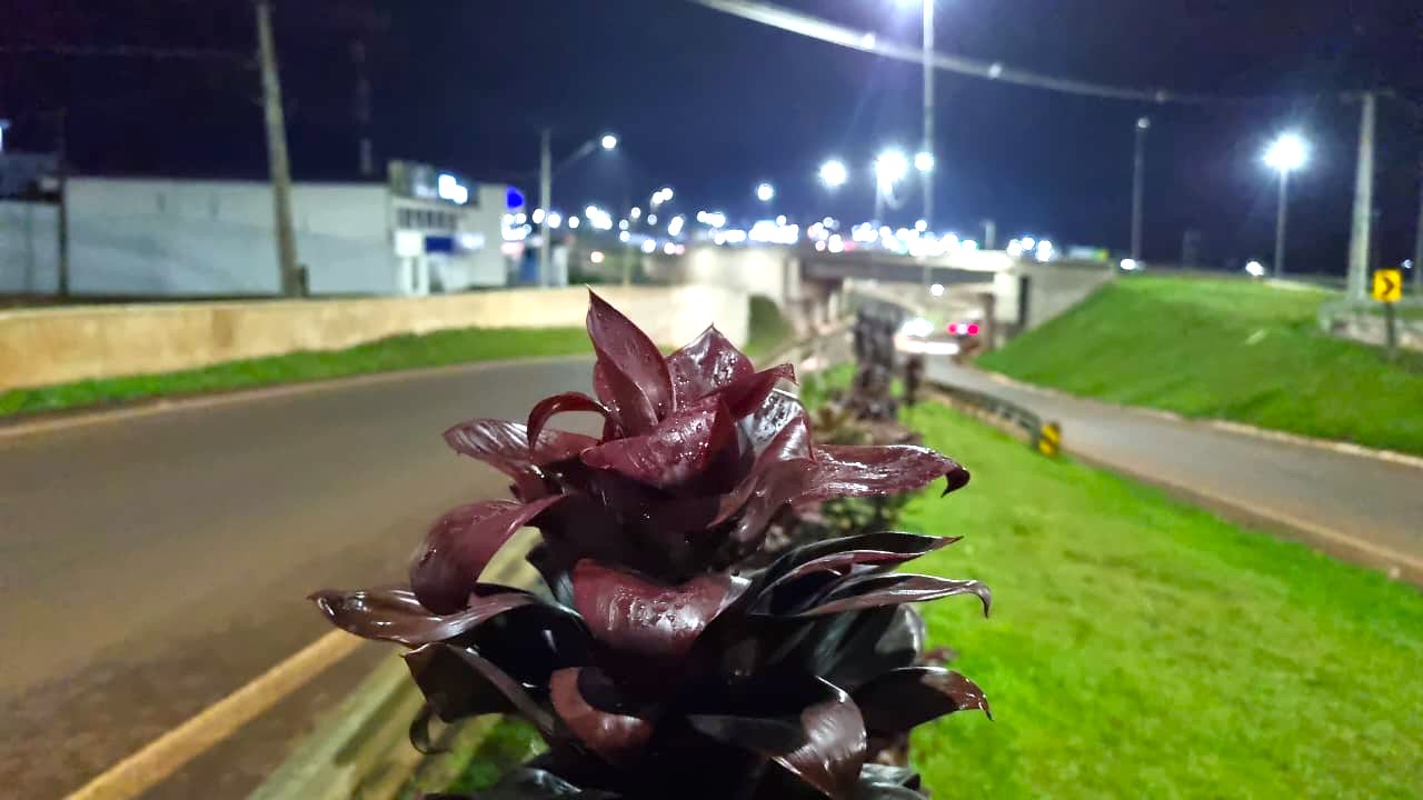 Entre a neblina e o movimento: Cascavel desperta para mais um sábado de outono