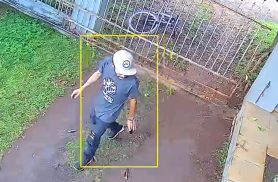 VÍDEO: Ladrão aproveita portão aberto e invade casa no Maria Luiza