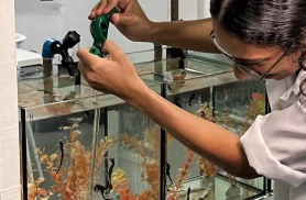 Projeto abre espaço para público conhecer habitat dos cavalos marinhos