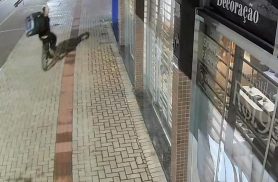 Ciclista "nervoso" ataca loja no Universitário