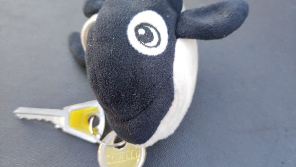 Foi encontrada uma chave no bairro Centro Imagem referente a Foi encontrada uma chave no bairro Centro