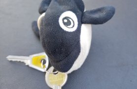 Foi encontrada uma chave no bairro Centro Foi encontrada uma chave no bairro Centro