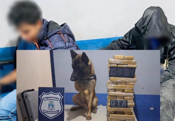 Cão Xerife encontra droga em ônibus e dupla paraguaia acaba detida