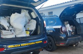 PRF encontra mais de 211 quilos de maconha em carro abandonado após acidente na BR-277