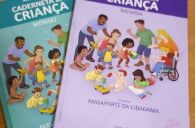 Vacinação com a Pneumo 20 pelo SUS começa em duas semanas, diz Padilha