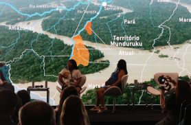 Contaminação por mercúrio coloca gestantes e bebês Munduruku em risco