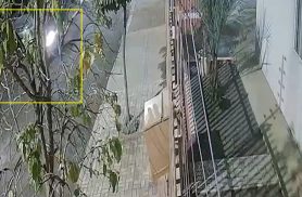 Câmera registra momento em que cachorro morre ao ser atingido por motocicleta em Cascavel