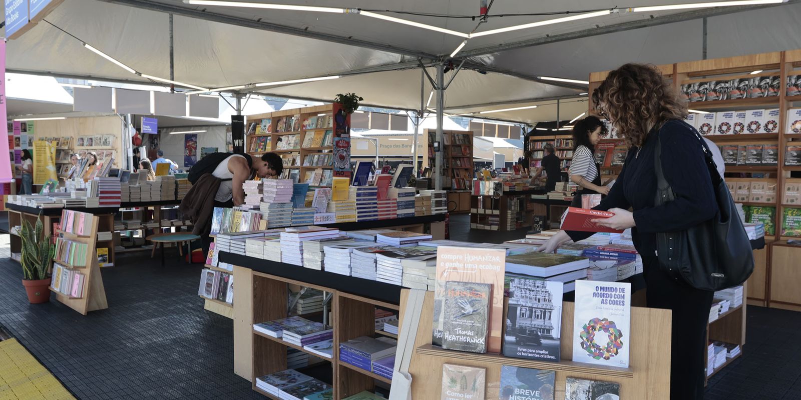 Imagem referente a Feira do Livro de SP terá participação de diretor da EBC em painel