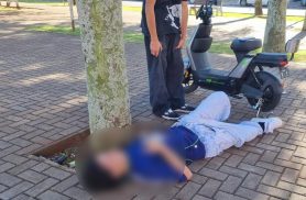 Adolescente bate moto elétrica contra árvore na Avenida Brasil