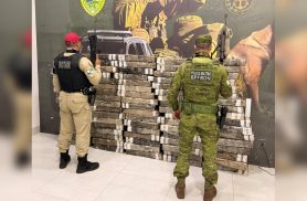 Mais de uma tonelada de maconha é apreendida em Perobal