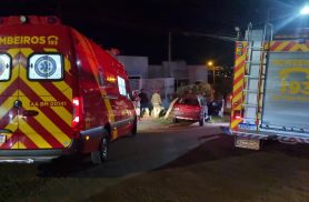 Motorista fica ferido após colidir contra árvore na Rua Antônio Damian