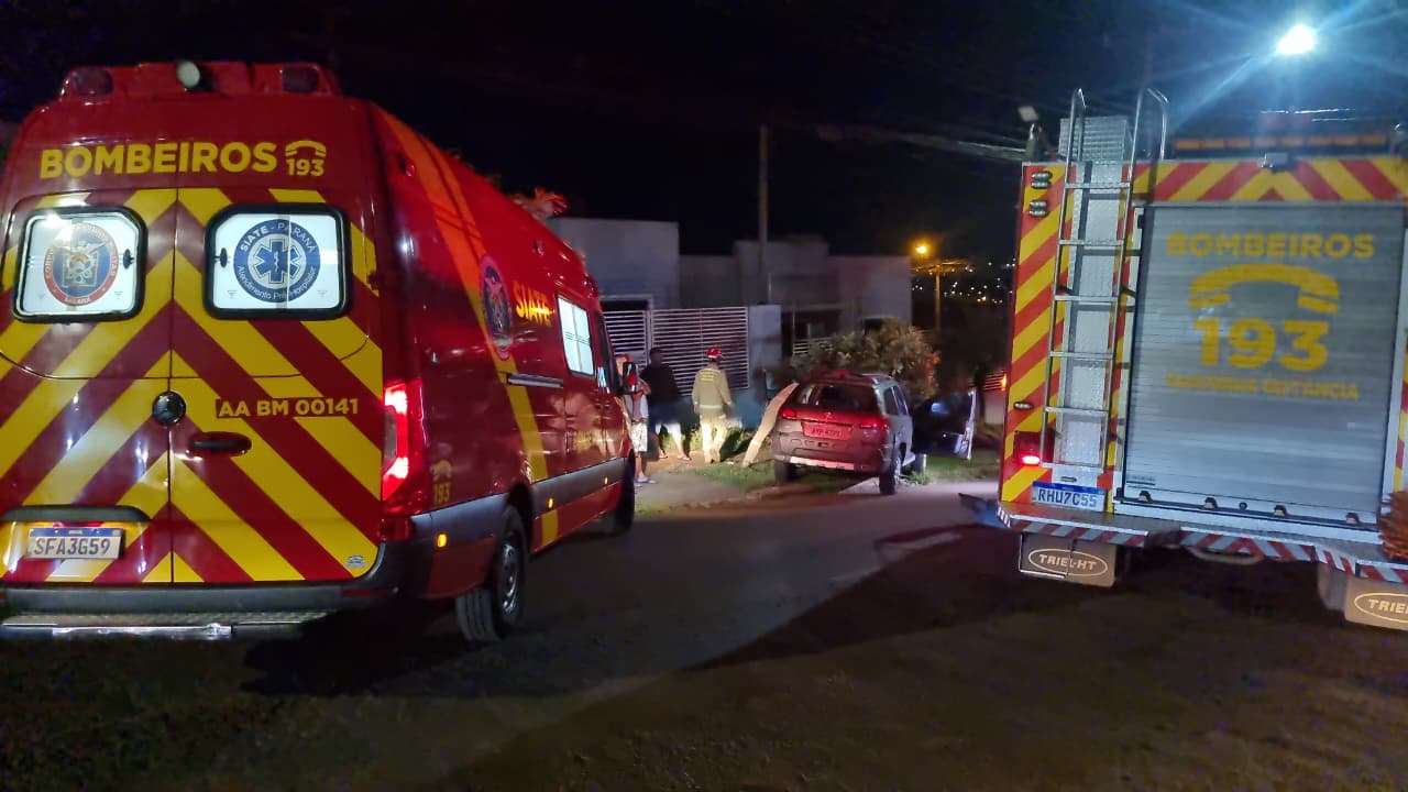 Motorista fica ferido após colidir contra árvore na Rua Antônio Damian