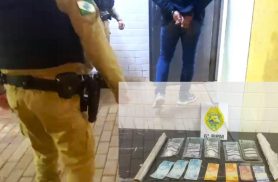 ROTAM apreende drogas e dinheiro em abordagem na BR-163