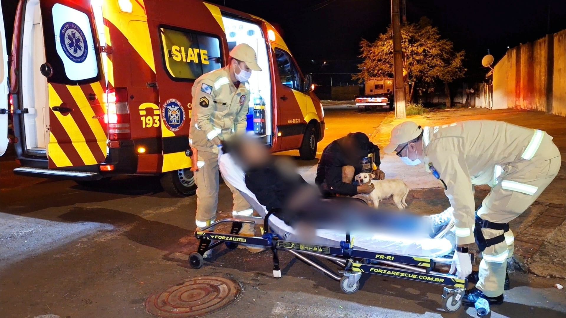 Jovem é encontrada caída no Interlagos e cachorrinha Nina comove equipes de socorro