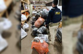 Motorista foge da PRF com carro roubado e 236 kg de drogas na BR-277