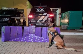 Casal de Florianópolis é preso com maconha em operação policial na BR-277, próximo a Céu Azul