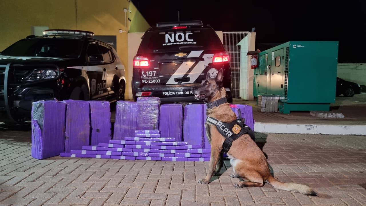 Casal de Florianópolis é preso com maconha em operação policial na BR-277, próximo a Céu Azul