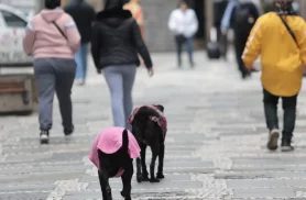 Semana começa com frente fria e chance de tempestade no Sul do País