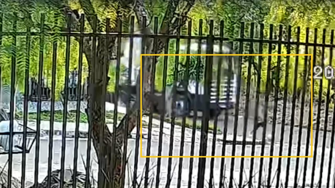 Câmera flagra momento exato em que menino é atropelado e morto no Morumbi