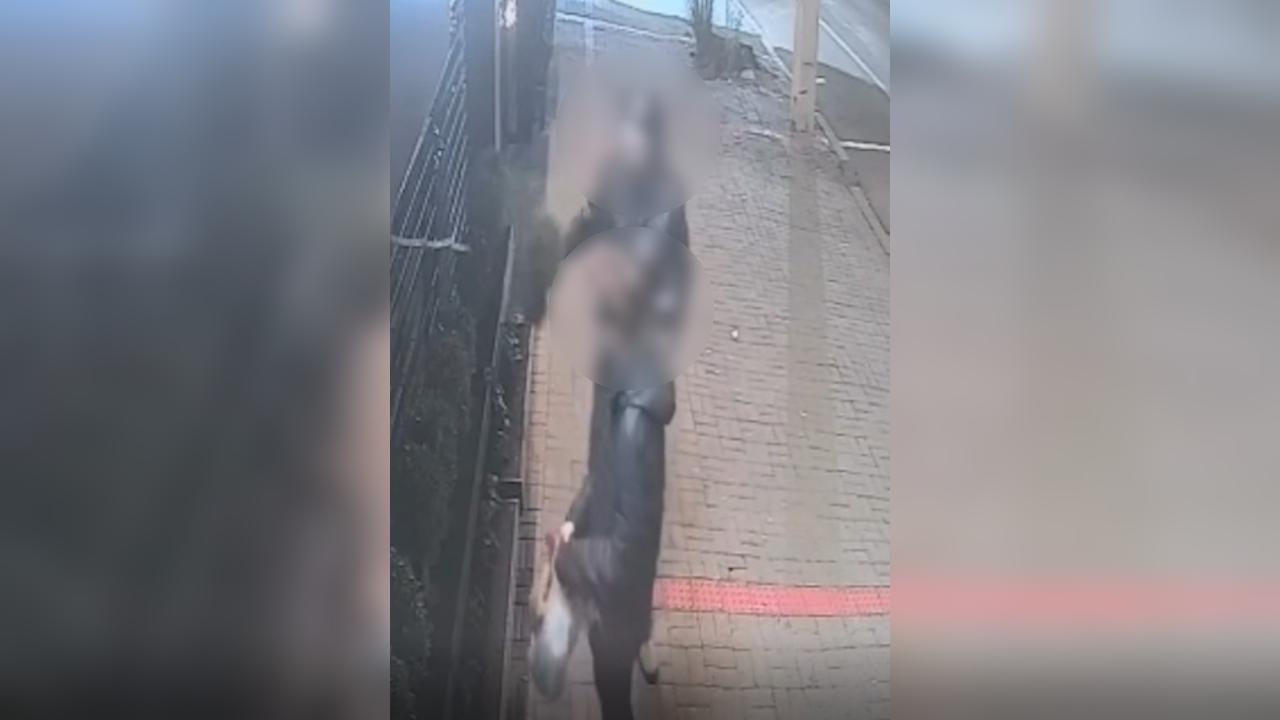 Casal furta muda de planta na Avenida Brasil em Cascavel