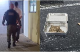 Fuga frustrada: motorista dá ré para escapar de blitz e termina na delegacia