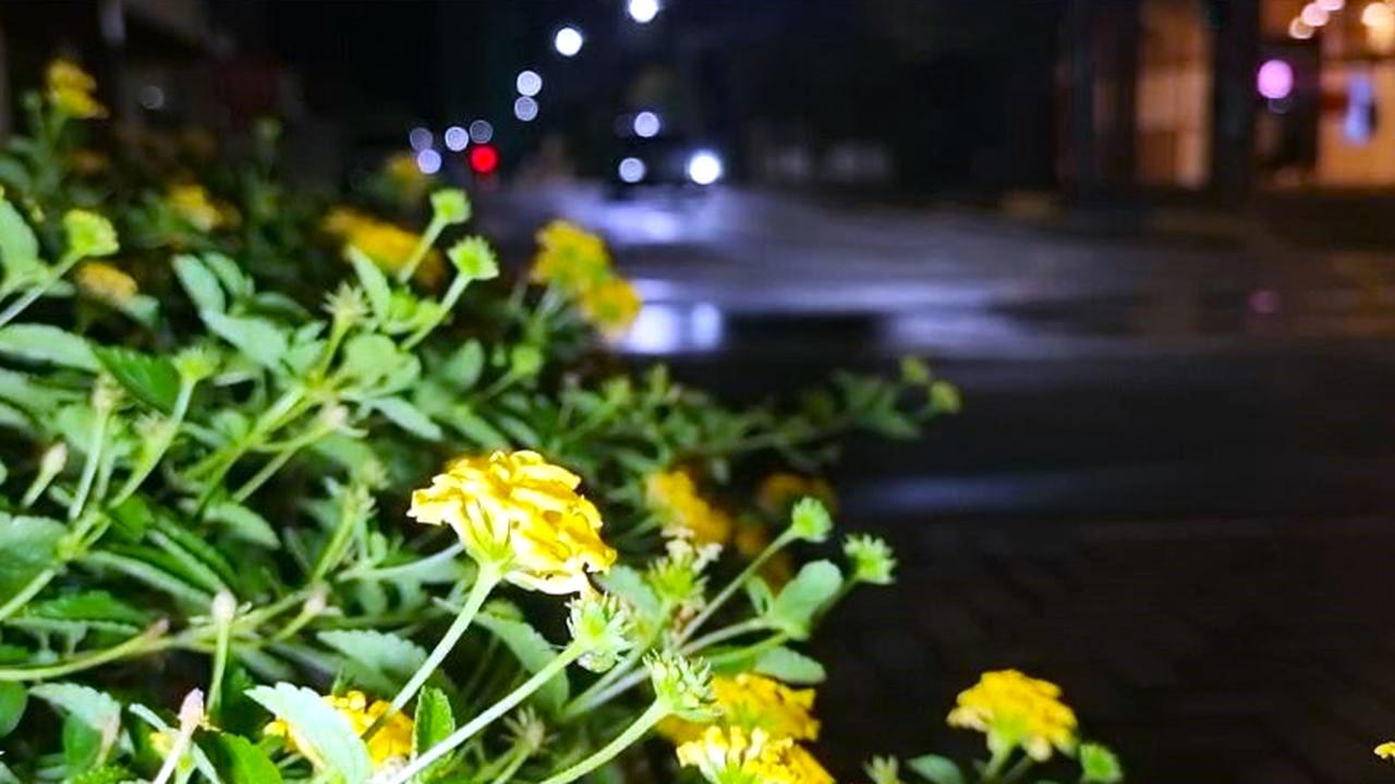 Com ruas molhadas e clima ameno, Cascavel amanhece sob céu encoberto