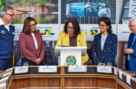 Pesquisas sobre saúde da mulher terão investimentos de R$ 60 milhões